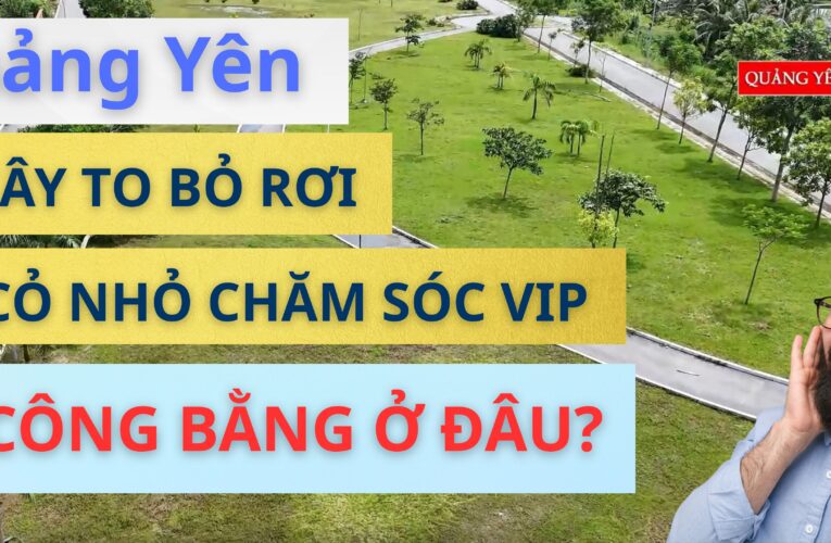 Phường Quảng Yên: Cây to bị bỏ mặc, cỏ nhỏ được chăm sóc VIP – Công bằng ở đâu?