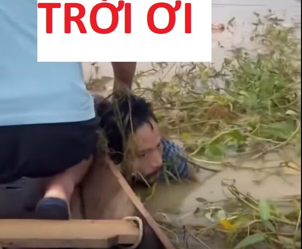 May quá chú vẫn sống